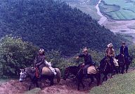 Out on the horse trail